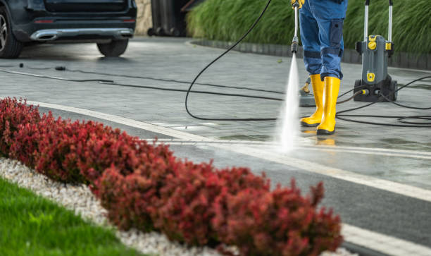 Best Building Exterior Pressure Washing in Oakwood Hls, IL
